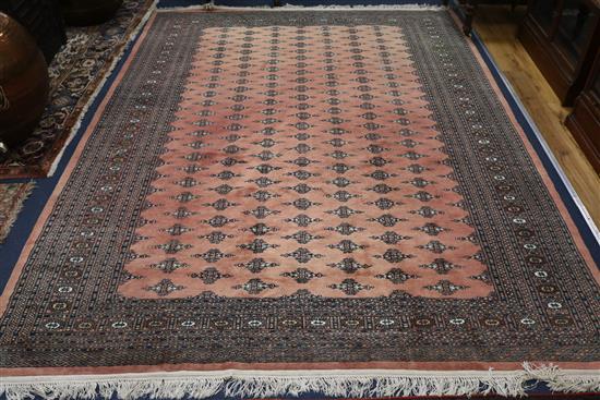 A modern bokhara rug 295 x 220cm